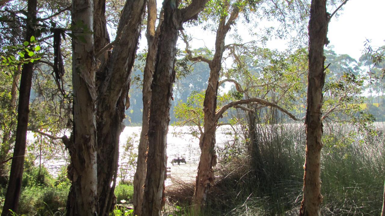 Lake Russell Retreat Emerald Beach Extérieur photo